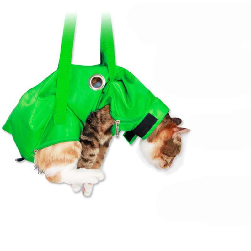 Portable Cat Backpack Pet Summ - Foldable Backpack Small reseña y precio